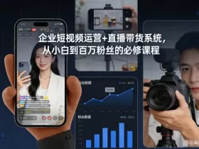 企业短视频运营+直播带货系统，从小白到百万粉丝的必修课程