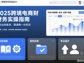 2025跨境电商财务实操指南,从后台到账本,算清每一分利润,系统讲解-案例实操-专业提升