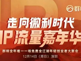 2025ip嘉年华万人12月14深圳线下课，走向微利时代，IP流量嘉年华，实操性极强的商业干货课