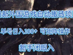 最新外国游戏自动搬砖项目，单号100+，可以矩阵操作，新手也可做【揭秘】