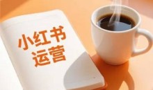 向阳小红书运营课 网络营销综合课