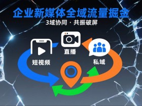 短视频全域商业模式，企业新媒体全域流量掘金，3域协同，共振破屏，短视频-直播-私域-地域