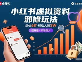 小红书虚拟资料邪修玩法,单价68,轻松入账3W,信息差玩法,市场庞大