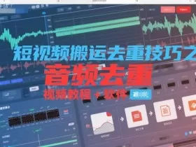 短视频搬运去重技巧之音频去重，视频教程+软件