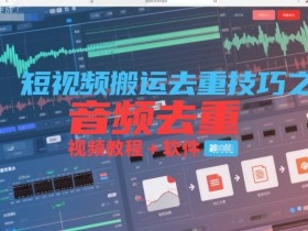 短视频搬运去重技巧之音频去重,视频教程+软件