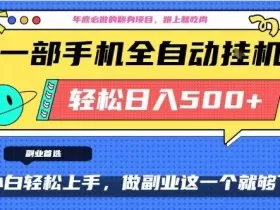 年底必做翻身项目，只需一部手机，每天操作十几分钟，轻松日入500+【揭秘】