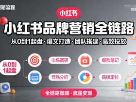 小红书品牌营销全链路,从0到1起盘、爆文打造、团队搭建到高效投放的全链路策略