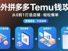海外拼多多temu钱攻略从0到1打造店铺，轻松爆单
