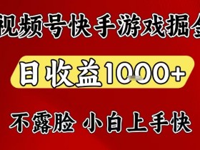 视频号快手平台游戏掘金项目，日收益1k+，一台电脑在家就可以自己创业【揭秘】