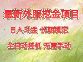 最新外服挖金项目，日入斗金，项目长期稳定，可放大操作，全自动运行，无需手动【揭秘】