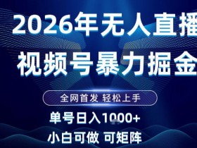 2026最新视频号无人直播掘金，全网首发，小白可以玩，长期稳定日入1k+【揭秘】