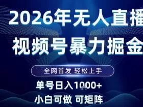 2026最新视频号无人直播掘金，全网首发，小白可以玩，长期稳定日入1k+【揭秘】