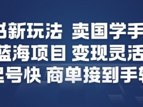 小红书新玩法，卖国学手机贴，蓝海项目，变现灵活，起号快，商单接到手软