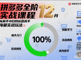 拼多多全阶实战课程12月，从新手小白到运营高手，海量实战玩法