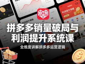 拼多多销量破局与利润提升系统课，全维度讲解拼多多运营逻辑