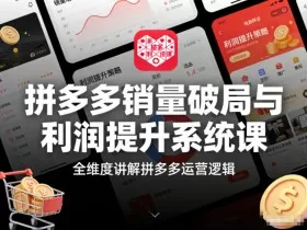拼多多销量破局与利润提升系统课，全维度讲解拼多多运营逻辑