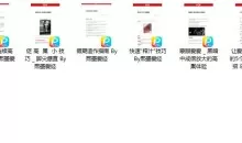 李熙墨-D系列 高巢指南 电子书