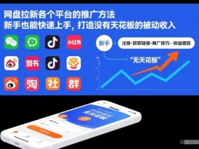 网盘拉新各个平台的推广方法，新手也能快速上手，打造没有天花板的被动收入
