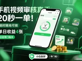 手机视频审核真香！20秒一单，随时随地可做，单日收益4张，小白零门槛冲【揭秘】