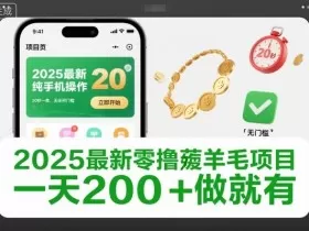 2025最新零撸薅羊毛项目，纯手机操作，20秒一单，无任何门槛，一天200+做就有【揭秘】