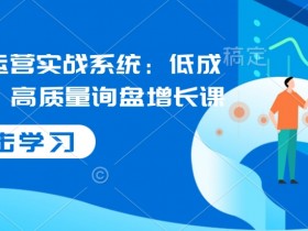 国际站运营实战系统：低成本获客，高质量询盘增长课（更新）