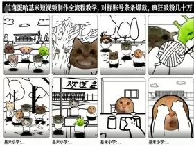 卤蛋哈基米短视频制作全流程教学，条条爆款，疯狂吸粉几十万