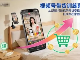 视频号带货训练营，从0到1打造你的带货变现路，低成本在家创业