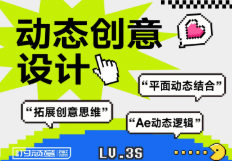 付顽童AE动态创意课【画质还行只有视频】