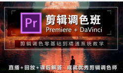【缺】木客教育PR+达芬奇剪辑就业班第2期【画质高清有大部分素材】