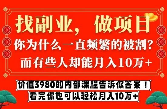 价值3980的网创内部课程,告诉你互联网创业月入10个W的秘密【揭秘】