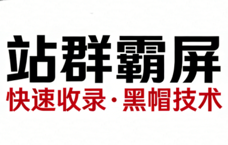 SEO野路子实战全集:快速收录、站群霸屏、黑帽技术