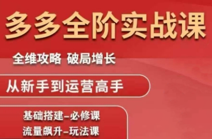 大炮·拼多多全阶实战课程(更新2026)