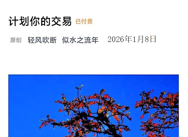 似水之流年260108付费文：计划你的交易