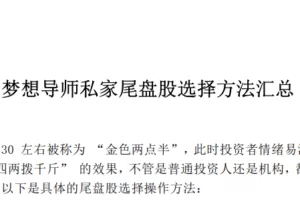 梦想导师私家尾盘股选择方法汇总 1PDF