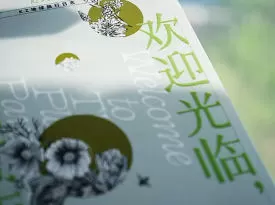 Ronny设计学堂孫容100天陪练计划平面设计100问【画质高清只有视频】