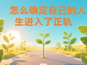某公众号付费文章：怎么确定自己的人生进入了正轨？