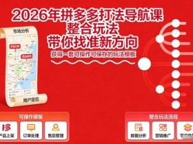 2026年拼多多打法导航课，整合玩法，带你找准新方向，获得一套可操作可保存的玩法模板