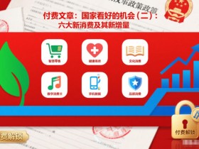 付费文章：国家看好的机会(二)：六大新消费及其新增量