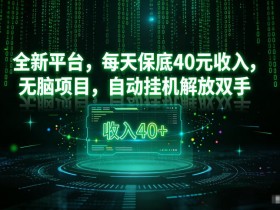 最新看广平台，每天保底30-4米，无脑项目，自动挂G解放双手【揭秘】