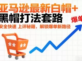 亚马逊最新白帽+黑帽打法套路，安全快速上评秘籍，解锁爆单新路径