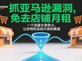 抓亚马逊漏洞，免去店铺月租，一个流量大竞争小，让你有机会成大卖的赛道