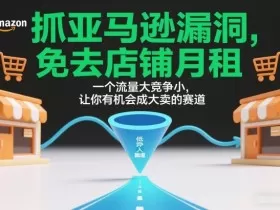 抓亚马逊漏洞，免去店铺月租，一个流量大竞争小，让你有机会成大卖的赛道