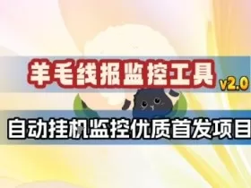 羊毛线报监控_2.0版本，薅羊毛人手一套，自动监控优质首发项目