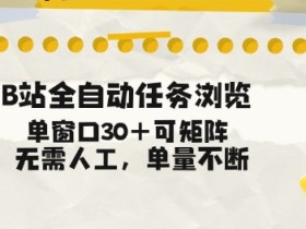 B站全自动任务浏览，单窗口30+可矩阵操作，无需人工单量不断【揭秘】