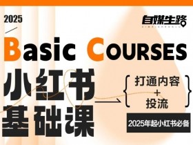自媒生路小红书基础课，打通内容+投流，2025年起小红书必备