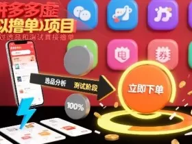 拼多多虚拟撸单项目，跳过选品和测试直接撸单