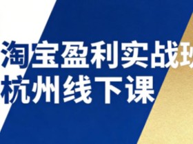 淘宝盈利实战班杭州线下课12月26-28日（音频+字幕），帮你掌握SOP流程+12门核心技术