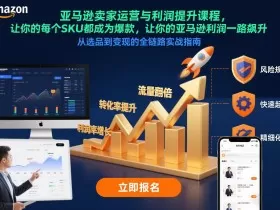亚马逊卖家运营与利润提升课程，让你的每个SKU都成为爆款，让你的亚马逊利润一路飙升（更新12月）