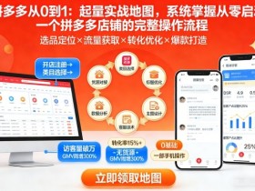拼多多从0到1：起量实战地图，系统掌握从零启动一个拼多多店铺的完整操作流程