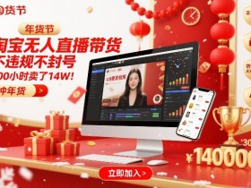 淘宝无人直播带货，不违规不封号，不需要发视频，300小时卖了14W！冲年货节【揭秘】